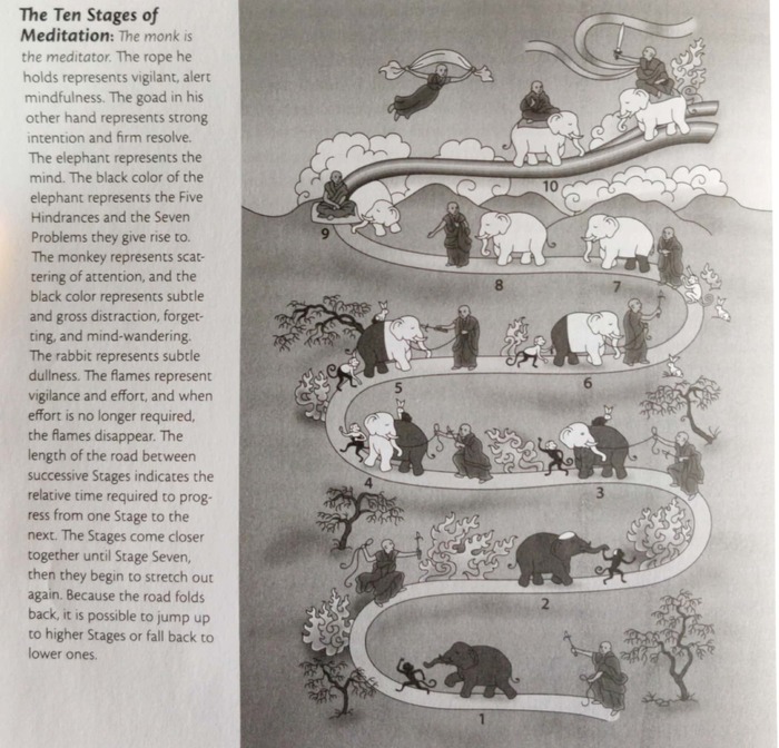 overview-of-meditation-stages-sattvik-basarkod